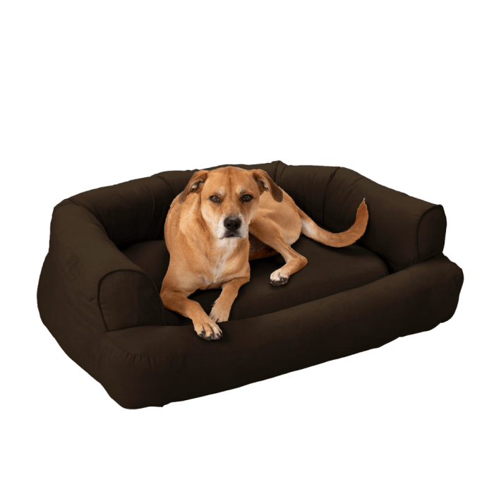 Canapé-lit orthopédique mémoire de forme – Taille S – 2 coloris (Snoozer Luxury Orthopedic Sleeper Sofa)