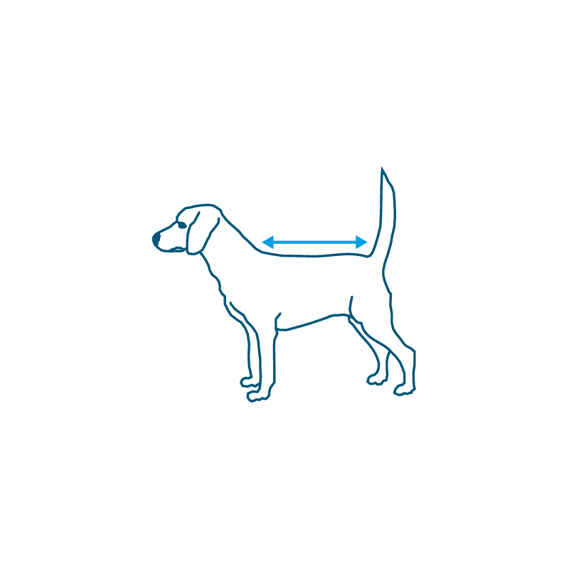 Manteau refroidisseur d'évaporation réglables réfléchissant Kurgo Gilet de refroidissement Core Cooling pour chien compatible avec harnais et colliers L bleue 