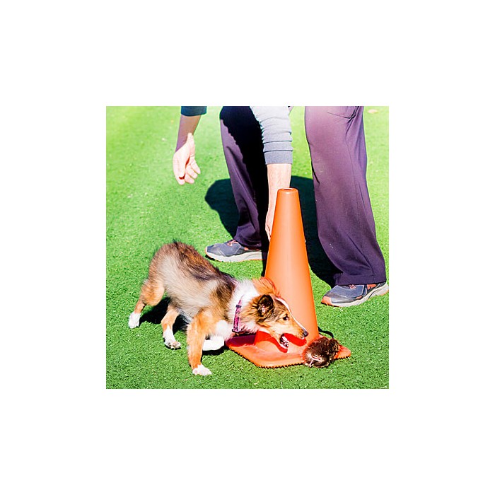 Tug à franges (Wild Thing Tail Tug)
