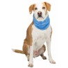 Bandana rafraîchissant (Cooling Bandana) 4 tailles