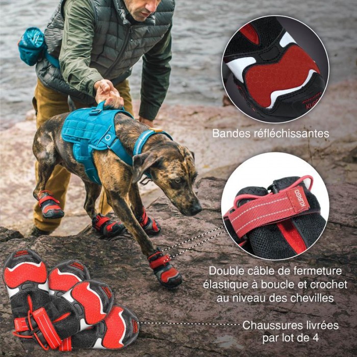 Vêtements et chaussures pour chiens sportifs ou convalescents