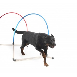 20 % - Hooper Agility Run - Rouge et bleu