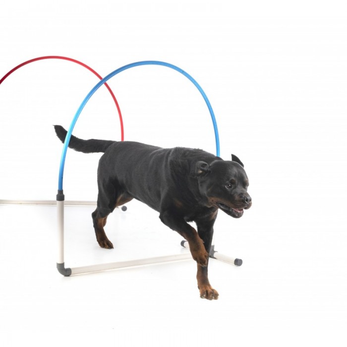 20 % - Hooper Agility Run - Rouge et bleu