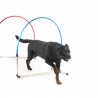 20 % - Hooper Agility Run - Rouge et bleu