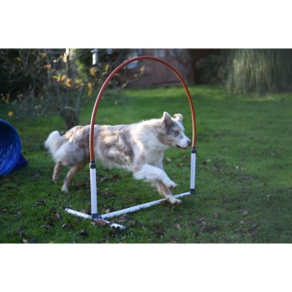 20 % - Hooper Agility Run - Rouge et bleu
