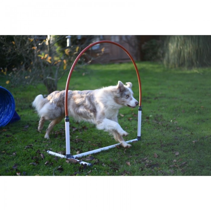 20 % - Hooper Agility Run - Rouge et bleu