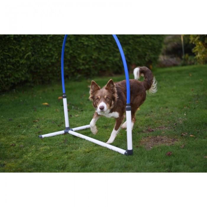 20 % - Hooper Agility Run - Rouge et bleu