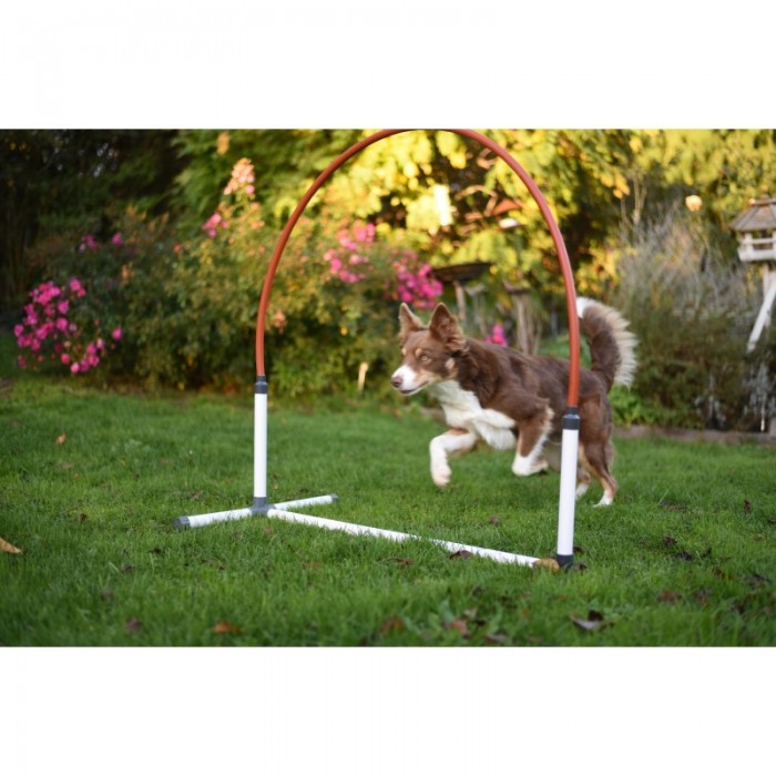 20 % - Hooper Agility Run - Rouge et bleu