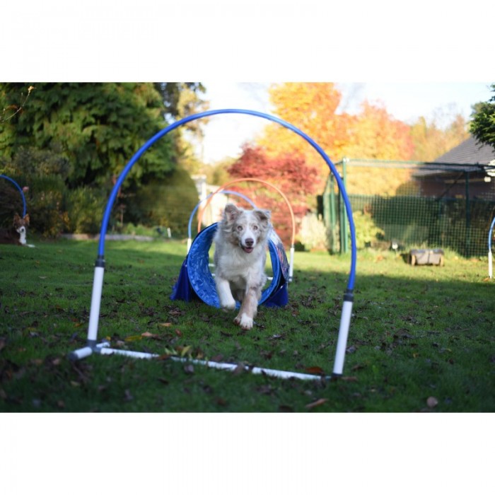 20 % - Hooper Agility Run - Rouge et bleu