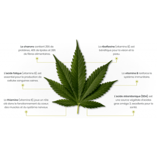 Sticks dentaires au chanvre (True Hemp Calming Support)