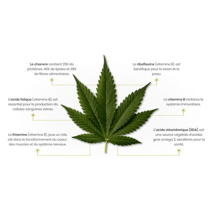 Sticks dentaires au chanvre (True Hemp Calming Support)