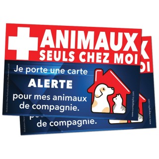 Carte d’alerte d’urgence