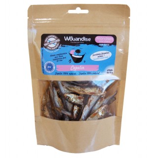 Poissons séchés (Capelan 100 % naturel de l’Atlantique Nord)
