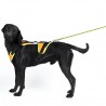Harnais de Pistage et Mantrailing Julius - Taille XS - Noir