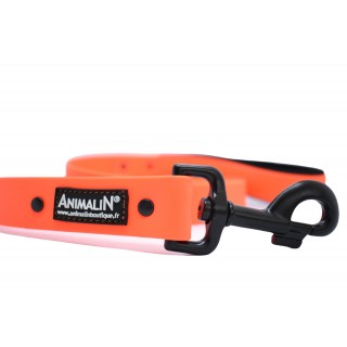 Laisse Animalin® PVC Orange Fluo – Mousq. noir – 150 cm – 2 larg.