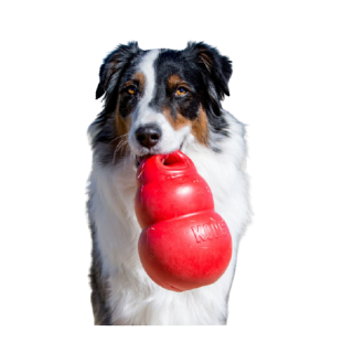 KONG Bounzer (2 tailles)