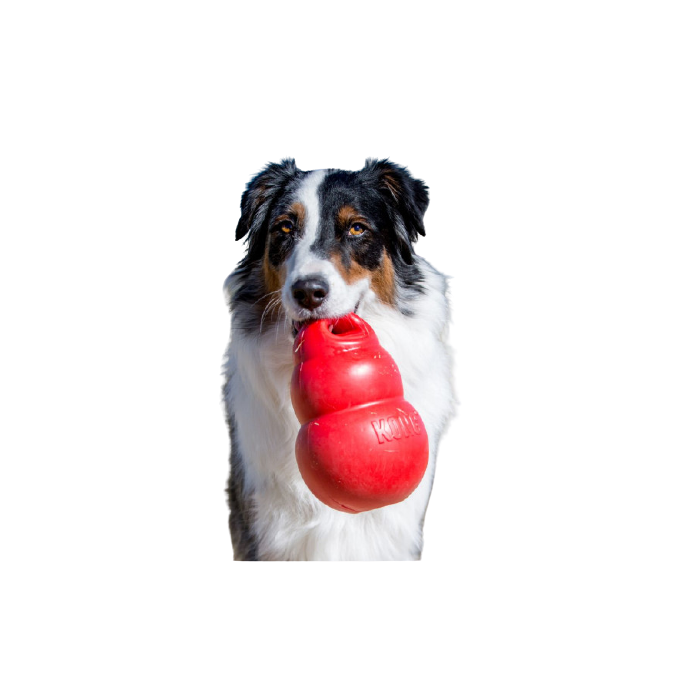 KONG Bounzer (2 tailles)
