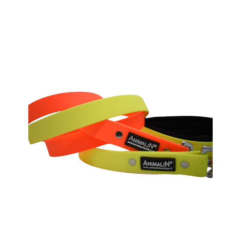 Laisse Animalin® Fluo 150 cm – 2 larg./ 2 couleurs – Mousq. Inox
