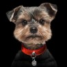 Collier Stardust Rouge pour chiens (45 cm)