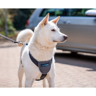 Harnais de voyage pour voiture (CarSafe Dog Travel Harness) 3 tailles