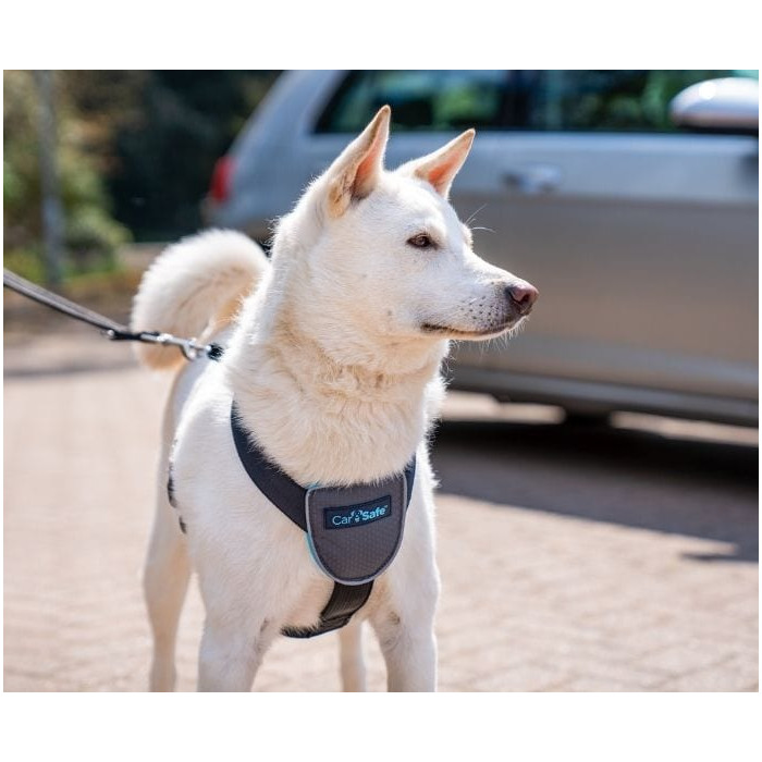 Harnais de voyage pour voiture (CarSafe Dog Travel Harness) 3 tailles