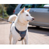 Harnais de voyage pour voiture (CarSafe Dog Travel Harness) 3 tailles