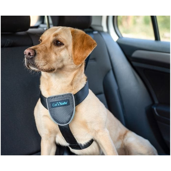 Harnais de voyage pour voiture (CarSafe Dog Travel Harness) 3 tailles