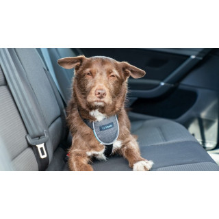 Harnais de voyage pour voiture (CarSafe Dog Travel Harness) 3 tailles