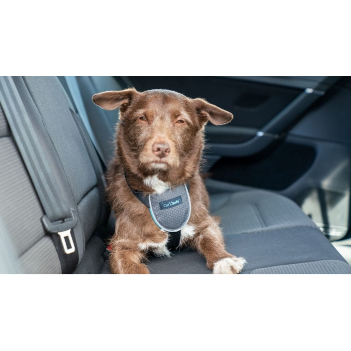 Ceinture Chien Voiture Harnais Voiture Chien Voiture Voyage