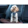 Harnais de voyage pour voiture (CarSafe Dog Travel Harness) 3 tailles