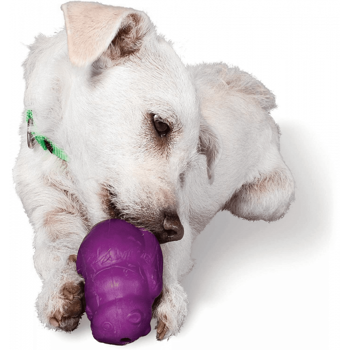 Ecureuil Passe-temps (Squirrel Dude) – Taille L