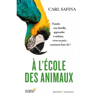 A l'école des animaux