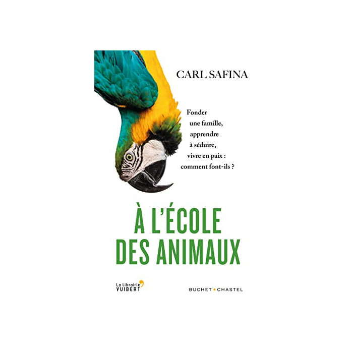 A l'école des animaux