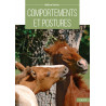 Comportements et postures