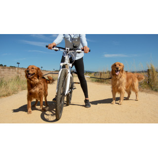 Laisse de vélo universelle pour chiens – Technologie antichocs, Design, Sécurité (Shock-Less Bicycle Leash)