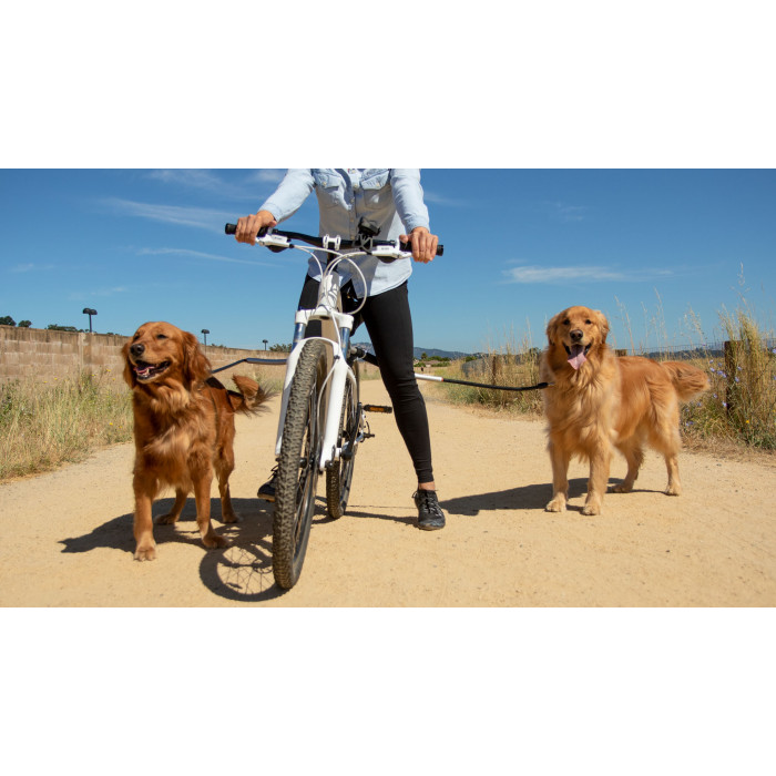 Accessoires pour faire du vélo avec votre chien