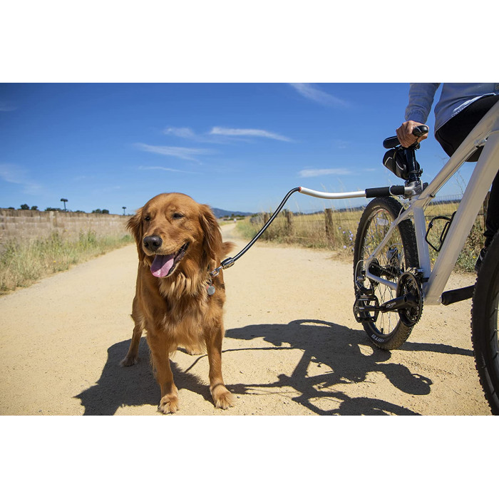 Laisse de vélo universelle pour chiens – Technologie antichocs, Design, Sécurité (Shock-Less Bicycle Leash)