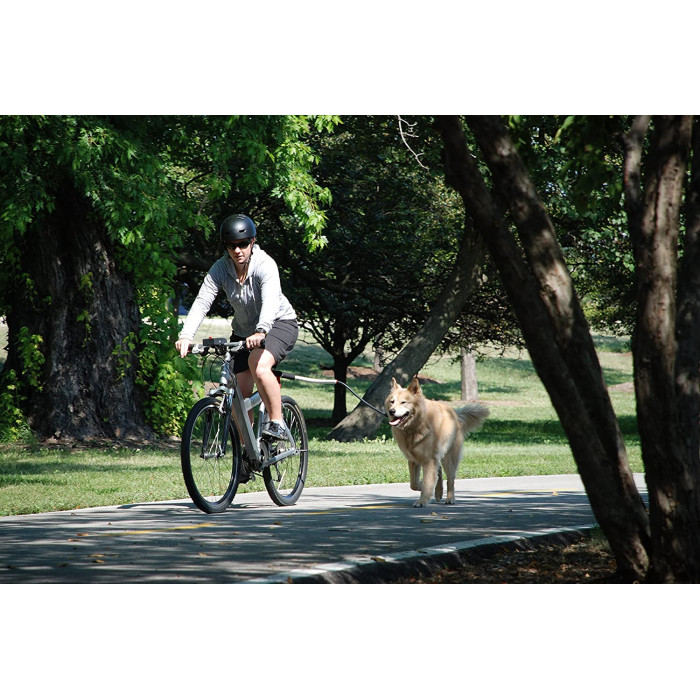 Laisse de vélo universelle pour chiens – Technologie antichocs, Design, Sécurité (Shock-Less Bicycle Leash)