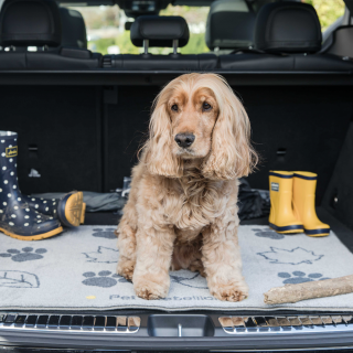 Tapis de coffre Motif Champêtre (Bootmate Country Walk)