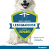 Seresto Collier anti-puces et anti-tiques pour petits et grands chiens (8 mois de protection)