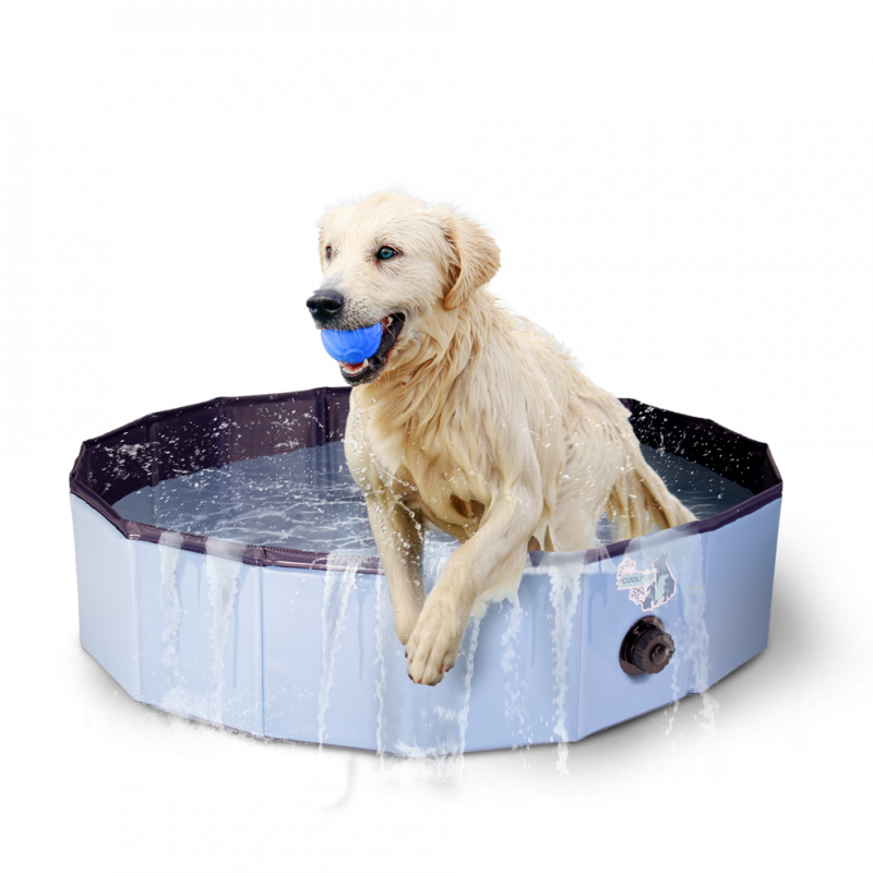 Piscine pour chien – La Boutique Des Hommes