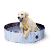 Piscine pour chiens CoolPets - 3 tailles