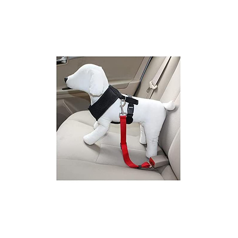 Ceinture de sécurité Dogsto pour chien