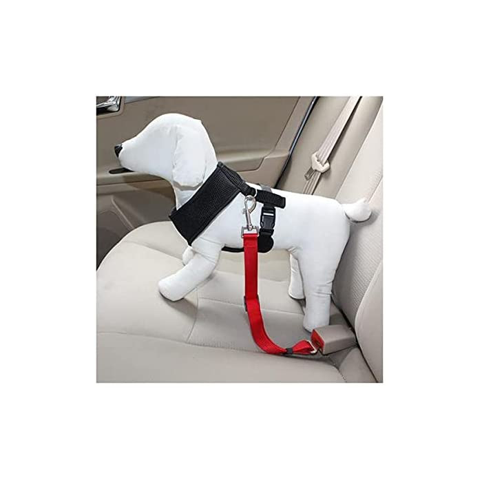 Ceinture De Sécurité Pour Voiture Pour Chien Et Chat, Réglable