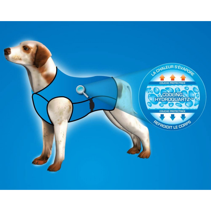 manteau rafraîchissant chien aqua coolkeeper