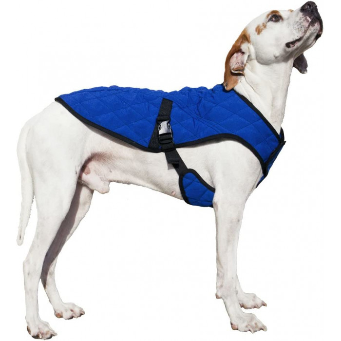 manteau rafraîchissant chien aqua coolkeeper