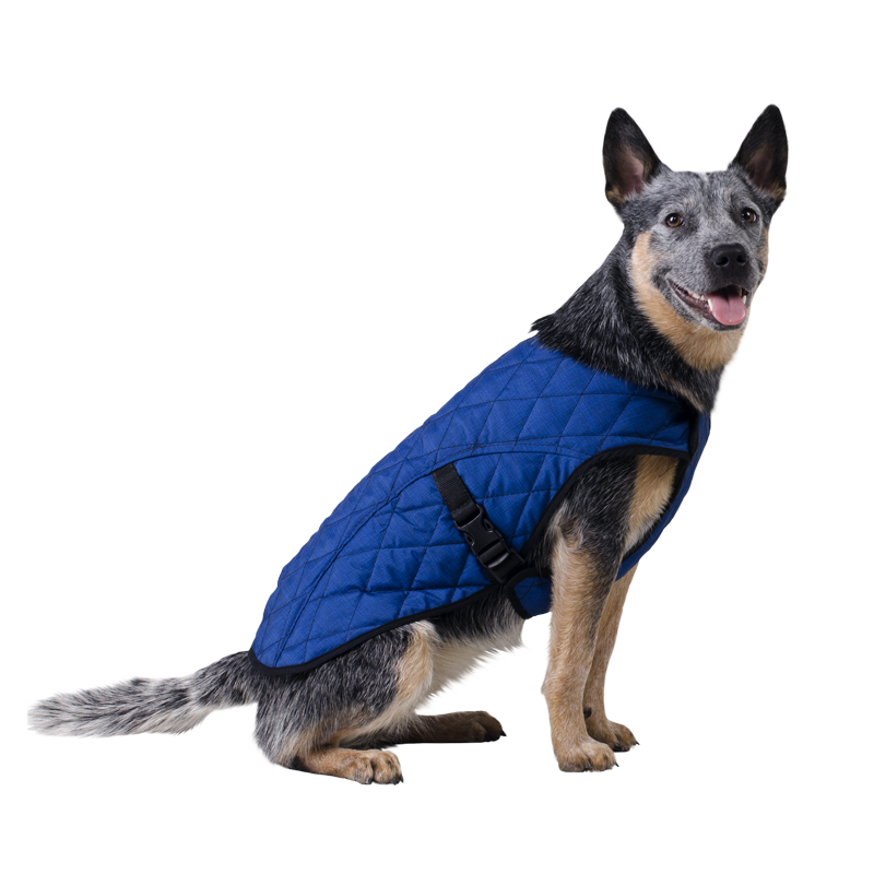 manteau rafraîchissant chien aqua coolkeeper