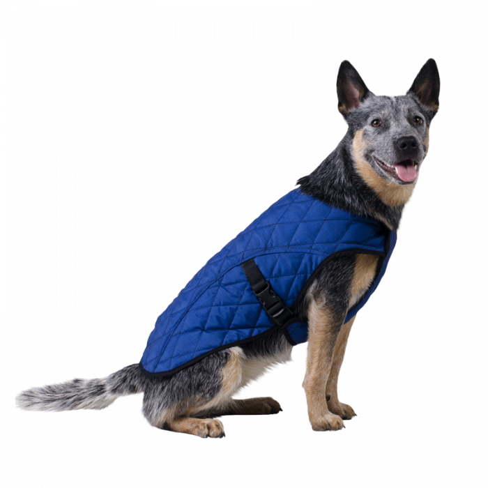 Manteau rafraîchissant pour chiens (Aqua CoolKeeper Cooling Jacket) 7 tailles