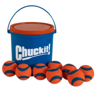 Seau Chuckit! avec 8 Extraballes – Diam. 6 cm (Chuckit! Ultra Ball Bucket 8-Pack)