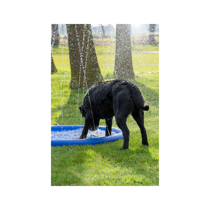 Piscine d’arrosage pour chiens (CoolPets Splash Pool Water Sprinkler)  Taille unique
